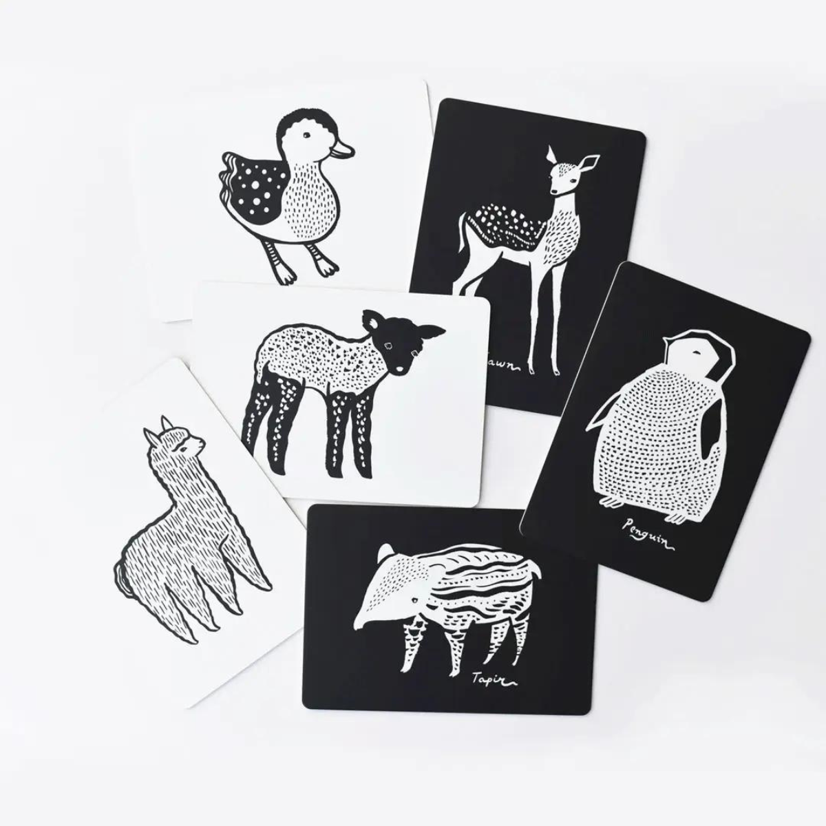 WEE GALLERY – Carte noir & blanc lama